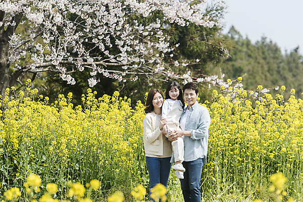 포토 JPG 주간 여자 남자 딸 행복 어린이 가족 안기 엄마 가족여행 서기 미소 상반신 성인 야외 앞모습 옆모습 세명 30대 제주도 맑음 화목 봄 한국인 벚꽃 가족라이프 아빠 핵가족 즐거움 유채 봄여행 정석항공장 국내포토 자연요소 라이프스타일 계절 꽃 감정 길 뷰포인트 여행 컨셉 관계 모션 날씨 한국 표정 사람 동양인 장년 파일형식