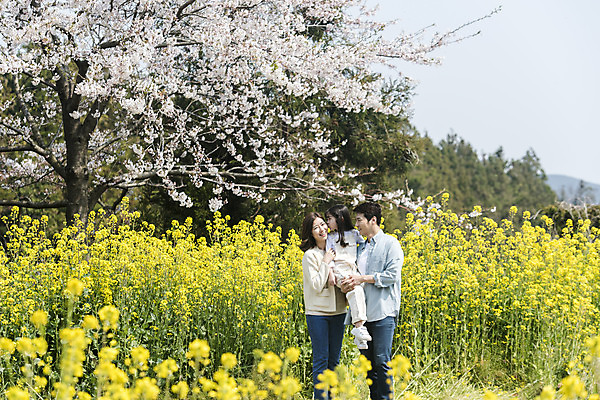 포토 JPG 주간 여자 남자 딸 행복 어린이 가족 안기 엄마 가족여행 서기 미소 상반신 성인 야외 앞모습 옆모습 세명 30대 제주도 맑음 화목 봄 한국인 벚꽃 가족라이프 아빠 핵가족 즐거움 유채 봄여행 정석항공장 국내포토 자연요소 라이프스타일 계절 꽃 감정 길 뷰포인트 여행 컨셉 관계 모션 날씨 한국 표정 사람 동양인 장년 파일형식