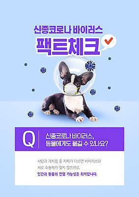 PSD 동물 편집이미지 한마리 마스크 사람없음 파란색 바이러스 사회이슈 체크표시 확인 전염 폐렴 가능 불가능 사실 질의응답 코로나바이러스 이미지편집 1 컬러 컨셉 질병 감염 파일형식