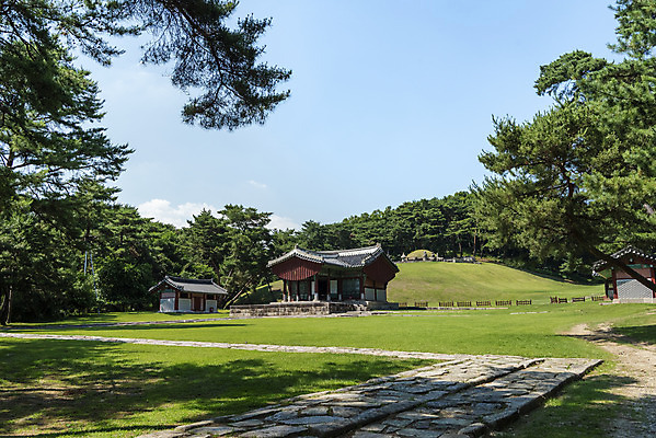 포토 JPG 주간 나무 한국전통 여행 유적지 풍경 사람없음 야외 여름 관광지 세계문화유산 문화재 역사 한국사 조선시대 어로 왕릉 정자각 조선왕릉 동구릉 현릉 동원이강릉 문종 현덕왕후 국내포토 구리시 자연요소 식물 전통 계절 고건축 한국 왕 경기도 파일형식 왕후 구리_지역 향어로