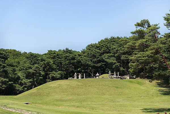 포토 JPG 주간 나무 한국전통 여행 유적지 풍경 사람없음 야외 여름 관광지 세계문화유산 문화재 무덤 묘 역사 한국사 조선시대 왕릉 조선왕릉 동구릉 현릉 동원이강릉 문종 현덕왕후 국내포토 구리시 자연요소 식물 전통 계절 고건축 한국 왕 경기도 파일형식 왕후 구리_지역