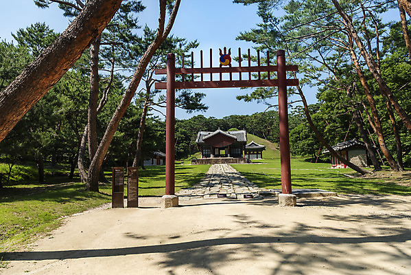 포토 JPG 주간 한국전통 여행 유적지 풍경 사람없음 야외 여름 관광지 세계문화유산 문화재 소나무 역사 한국사 조선시대 왕릉 정자각 조선왕릉 태조 홍살문 동구릉 건원릉 국내포토 구리시 자연요소 나무 전통 계절 고건축 한국 왕 전통문 경기도 파일형식 구리_지역
