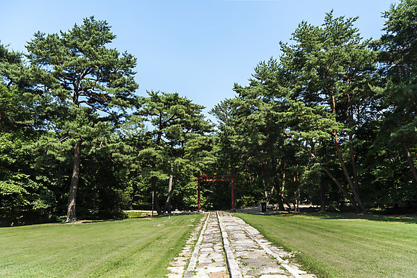 포토 JPG 주간 한국전통 여행 유적지 풍경 사람없음 야외 여름 관광지 세계문화유산 문화재 소나무 역사 한국사 조선시대 왕릉 정자각 조선왕릉 동구릉 휘릉 장렬왕후 국내포토 구리시 자연요소 나무 전통 계절 고건축 한국 경기도 파일형식 왕후 구리_지역