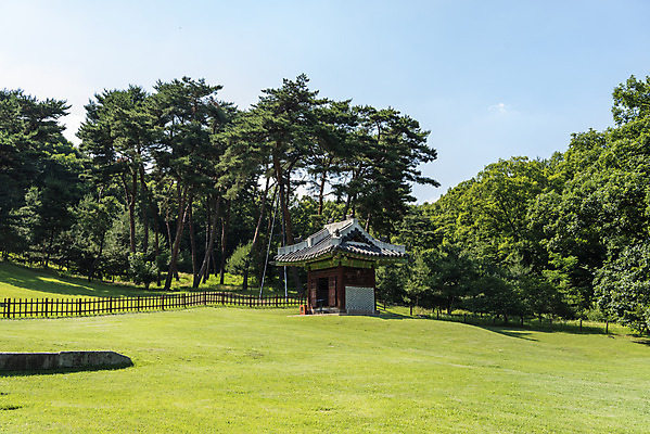 포토 JPG 주간 한국전통 여행 유적지 풍경 사람없음 야외 여름 관광지 세계문화유산 문화재 소나무 역사 한국사 조선시대 비각 왕릉 조선왕릉 동구릉 휘릉 장렬왕후 국내포토 구리시 자연요소 나무 전통 계절 고건축 한국 경기도 파일형식 왕후 구리_지역