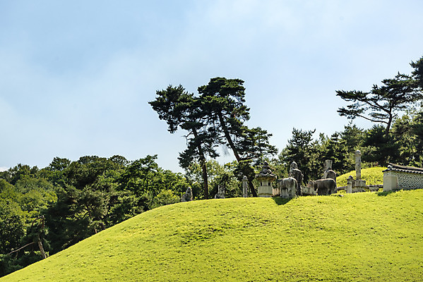 포토 JPG 주간 한국전통 여행 유적지 풍경 사람없음 야외 여름 관광지 세계문화유산 문화재 무덤 묘 소나무 역사 한국사 조선시대 왕릉 조선왕릉 동구릉 휘릉 장렬왕후 국내포토 구리시 자연요소 나무 전통 계절 고건축 한국 경기도 파일형식 왕후 구리_지역
