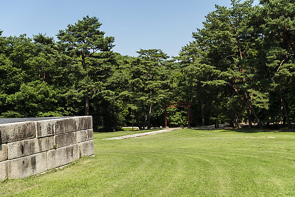 포토 JPG 주간 한국전통 여행 유적지 풍경 사람없음 야외 여름 관광지 세계문화유산 문화재 소나무 역사 한국사 조선시대 왕릉 정자각 조선왕릉 동구릉 휘릉 장렬왕후 국내포토 구리시 자연요소 나무 전통 계절 고건축 한국 경기도 파일형식 왕후 구리_지역
