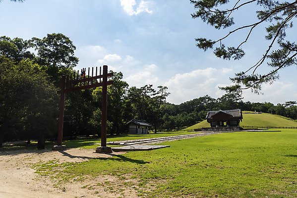 포토 JPG 주간 구름 한국전통 여행 유적지 하늘 풍경 사람없음 야외 여름 관광지 세계문화유산 문화재 소나무 역사 한국사 조선시대 왕릉 조선왕릉 동구릉 원릉 영조 정순왕후 국내포토 구리시 자연요소 나무 전통 계절 고건축 한국 왕 경기도 파일형식 왕후 구리_지역