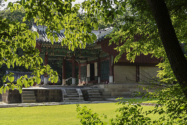 포토 JPG 주간 나무 한국전통 여행 유적지 나뭇잎 풍경 사람없음 야외 여름 관광지 세계문화유산 문화재 역사 한국사 조선시대 왕릉 정자각 조선왕릉 태조 동구릉 건원릉 국내포토 구리시 자연요소 식물 전통 계절 고건축 잎 한국 왕 경기도 파일형식 구리_지역