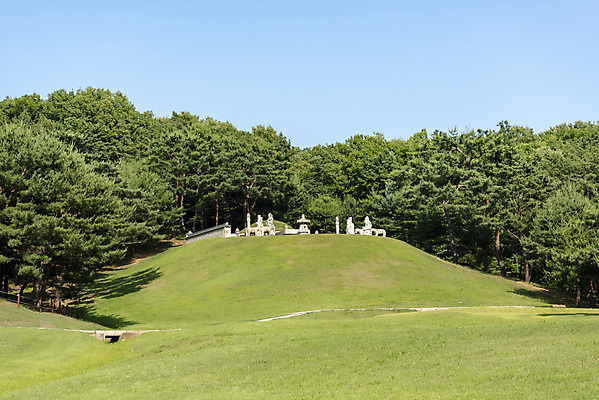 포토 JPG 주간 나무 한국전통 여행 유적지 풍경 사람없음 야외 여름 관광지 세계문화유산 문화재 무덤 묘 역사 한국사 조선시대 왕릉 조선왕릉 동구릉 목릉 동원이강릉 선조 의인왕후 인목왕후 국내포토 구리시 자연요소 식물 전통 계절 고건축 한국 왕 경기도 파일형식 왕후 구리_지역