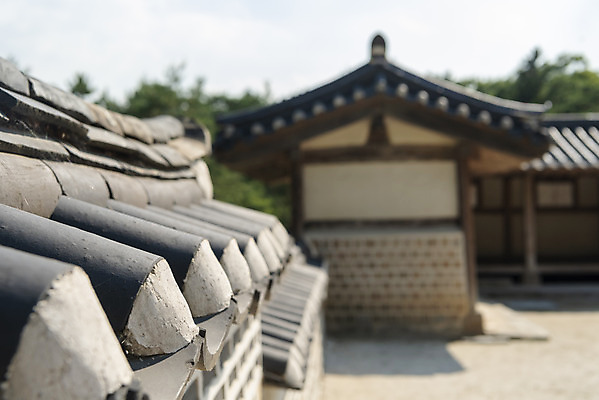 포토 JPG 주간 한국전통 여행 유적지 풍경 근접촬영 사람없음 야외 아웃포커스 여름 관광지 세계문화유산 문화재 역사 한국사 조선시대 왕릉 재실 조선왕릉 기와담장 동구릉 국내포토 구리시 자연요소 전통 계절 뷰포인트 고건축 한국 촬영기법 기와 담장 경기도 파일형식 구리_지역
