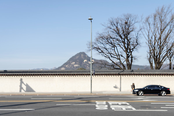 포토 JPG 주간 나무 도로 자동차 서울 풍경 사람없음 야외 아웃포커스 도시풍경 도시 경복궁 돌담길 국내포토 자연요소 식물 길 육상교통 교통시설 한국 돌담 촬영기법 궁전 파일형식