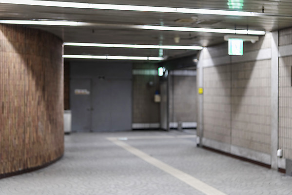 포토 JPG 주간 서울 풍경 사람없음 야외 아웃포커스 도시풍경 지하 전철역 지하도 국내포토 자연요소 한국 촬영기법 도시 보행로 역 파일형식