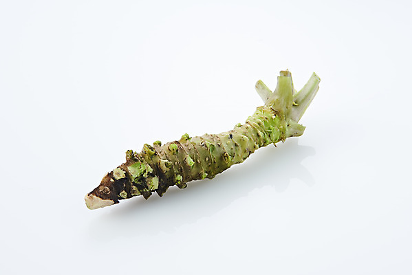 포토 JPG 스튜디오촬영 채소 식재료 실내 사람없음 흰색 소스 고추냉이 흰배경 생와사비 국내포토 컬러 백그라운드 내부 양념 파일형식