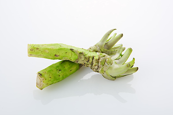 포토 JPG 스튜디오촬영 채소 식재료 실내 사람없음 흰색 소스 고추냉이 흰배경 생와사비 국내포토 컬러 백그라운드 내부 양념 파일형식