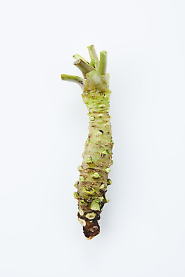 포토 JPG 스튜디오촬영 채소 식재료 실내 사람없음 하이앵글 흰색 소스 고추냉이 흰배경 플랫레이 생와사비 국내포토 뷰포인트 컬러 백그라운드 내부 양념 플랫 파일형식