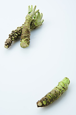 포토 JPG 스튜디오촬영 채소 식재료 실내 사람없음 하이앵글 흰색 소스 고추냉이 흰배경 플랫레이 생와사비 국내포토 뷰포인트 컬러 백그라운드 내부 양념 플랫 파일형식