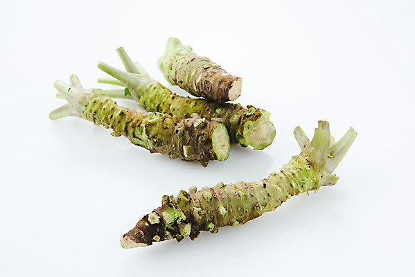 포토 JPG 스튜디오촬영 채소 식재료 실내 사람없음 흰색 소스 고추냉이 흰배경 생와사비 국내포토 컬러 백그라운드 내부 양념 파일형식