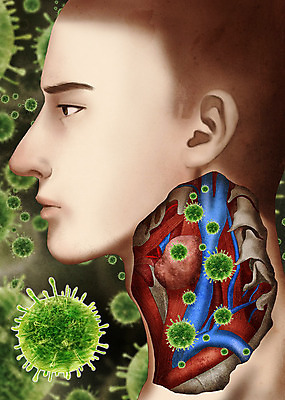 PSD 남자 얼굴 일러스트 해부 한명 바이러스 질병 사회이슈 감염 목 바이러스침투 인플루엔자 메르스 남자한명만 국내일러스트 1 컨셉 의학 사람 신체부위 남자만 파일형식