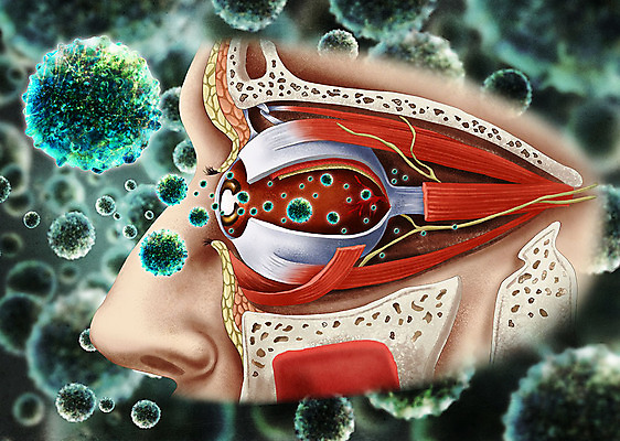 PSD 남자 일러스트 해부 한명 바이러스 질병 사회이슈 감염 바이러스침투 안구해부도 인플루엔자 안구 남자한명만 국내일러스트 1 컨셉 의학 사람 신체부위 남자만 파일형식