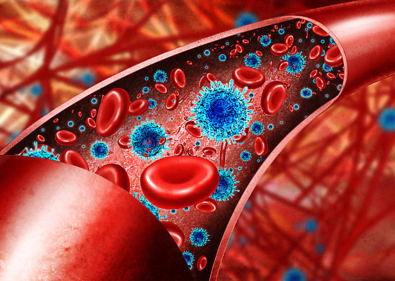 PSD 이동 일러스트 해부 사람없음 혈액 바이러스 질병 사회이슈 감염 혈관 적혈구 인플루엔자 국내일러스트 컨셉 의학 장기_의학 혈구 파일형식