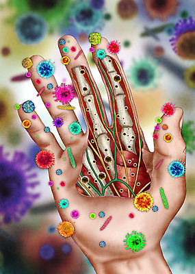 PSD 손 일러스트 해부 사람없음 신체부위 바이러스 질병 감기 사회이슈 감염 박테리아 폐렴 위생관리 인플루엔자 메르스 사스 코로나바이러스 국내일러스트 컨셉 의학 관리 사람 파일형식