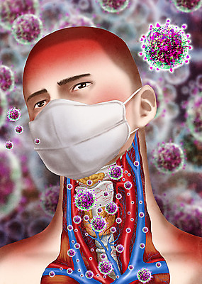 PSD 남자 얼굴 일러스트 해부 마스크 한명 바이러스 질병 사회이슈 감염 목 폐렴 인플루엔자 남자한명만 사스 코로나바이러스 국내일러스트 1 컨셉 의학 사람 신체부위 남자만 파일형식