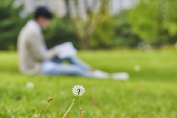 포토 JPG 주간 전신 공원 교육 남자 여유 대학생 대학생라이프 한명 앉기 20대 청년 성인 야외 옆모습 아웃포커스 책 청춘 독서 캠퍼스라이프 한국인 즐거움 대학교 민들레홀씨 성인남자한명만 국내포토 자연요소 1 학생 라이프스타일 공공시설 감정 뷰포인트 컨셉 학교 모션 촬영기법 사람 동양인 민들레 남자한명만 성인남자만 파일형식