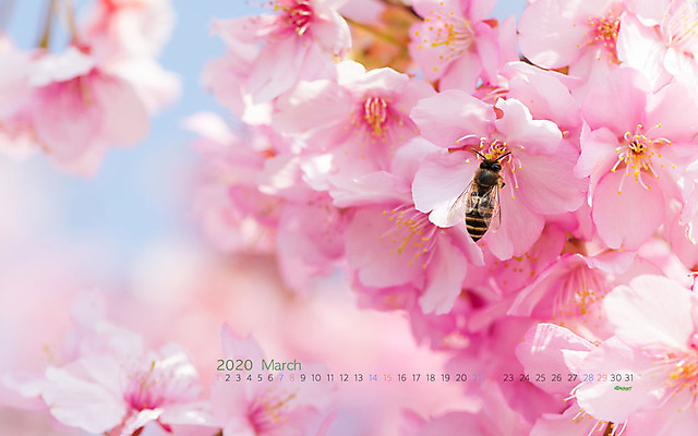 JPG 월페이퍼 바탕화면 3월 날짜 파일형식