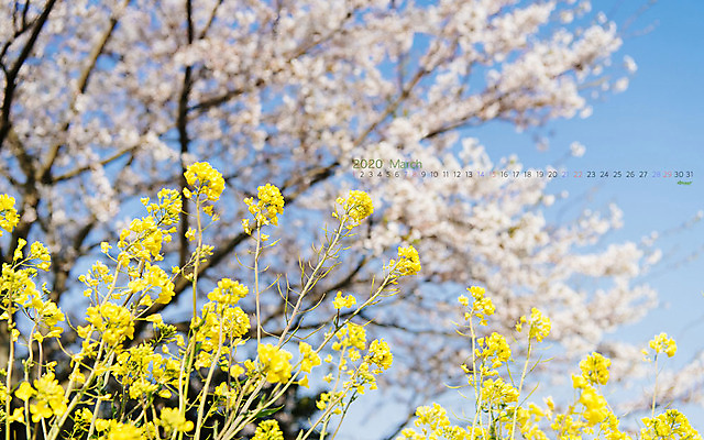 JPG 월페이퍼 바탕화면 3월 날짜 파일형식