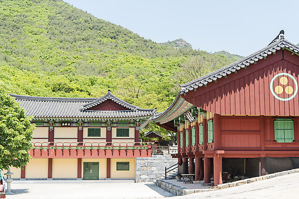 포토 JPG 주간 불교 산 한국 사람없음 야외 관광지 사찰 흥국사 국내포토 자연요소 아시아 종교 여행 종교건축 여수 파일형식