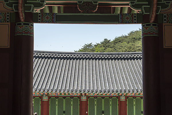 포토 JPG 주간 불교 한국 사람없음 야외 관광지 문 사찰 흥국사 국내포토 자연요소 아시아 종교 여행 종교건축 여수 파일형식