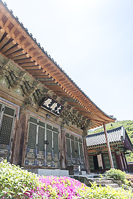 포토 JPG 주간 로우앵글 불교 하늘 한국 사람없음 야외 관광지 사찰 흥국사 국내포토 자연요소 아시아 종교 뷰포인트 여행 종교건축 여수 파일형식