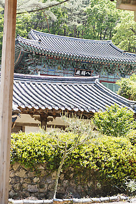 포토 JPG 주간 나무 불교 한국 사람없음 야외 관광지 사찰 흥국사 국내포토 자연요소 식물 아시아 종교 여행 종교건축 여수 파일형식