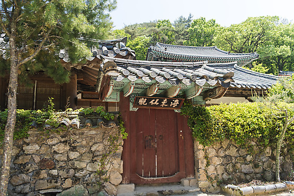 포토 JPG 주간 나무 불교 한국 사람없음 야외 관광지 문 소나무 사찰 흥국사 국내포토 자연요소 식물 아시아 종교 여행 종교건축 여수 파일형식