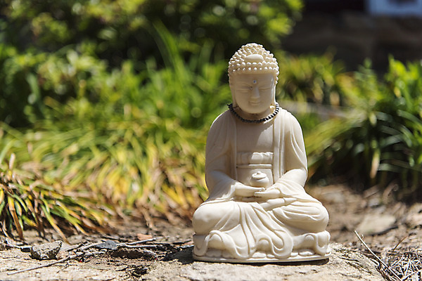 포토 JPG 주간 불교 한국 근접촬영 사람없음 야외 관광지 모형 사찰 불상 부처 흥국사 국내포토 자연요소 아시아 종교 뷰포인트 여행 종교건축 여수 파일형식