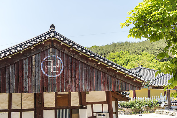 포토 JPG 주간 나무 불교 한국 사람없음 야외 관광지 사찰 흥국사 국내포토 자연요소 식물 아시아 종교 여행 종교건축 여수 파일형식