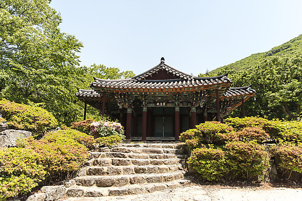포토 JPG 주간 나무 불교 한국 사람없음 야외 관광지 계단 사찰 흥국사 원통전 국내포토 자연요소 식물 아시아 종교 여행 종교건축 여수 파일형식