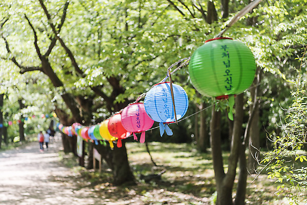 포토 JPG 주간 불교 한국 사람없음 야외 관광지 부처님오신날 사찰 연등 소원 염원 흥국사 국내포토 자연요소 기념일 아시아 종교 여행 종교건축 등불 불교용품 여수 파일형식