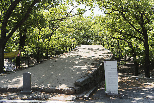 포토 JPG 주간 나무 불교 한국 사람없음 야외 관광지 사찰 흥국사 흥국사홍교 국내포토 자연요소 식물 아시아 종교 여행 종교건축 돌다리 여수 파일형식