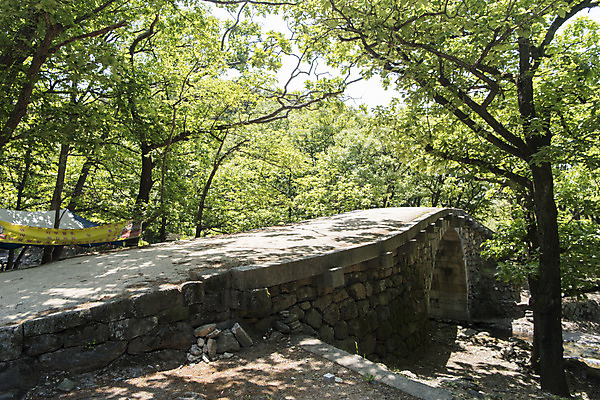 포토 JPG 주간 나무 불교 한국 사람없음 야외 관광지 사찰 흥국사 흥국사홍교 국내포토 자연요소 식물 아시아 종교 여행 종교건축 돌다리 여수 파일형식