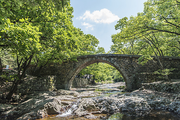 포토 JPG 주간 나무 불교 한국 사람없음 야외 관광지 사찰 흥국사 흥국사홍교 국내포토 자연요소 식물 아시아 종교 여행 종교건축 돌다리 여수 파일형식