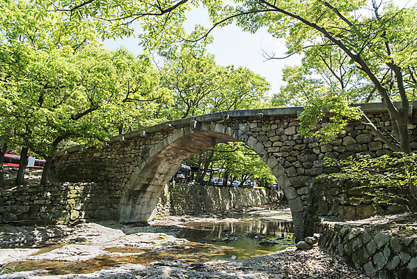 포토 JPG 주간 나무 불교 한국 사람없음 야외 관광지 사찰 흥국사 흥국사홍교 국내포토 자연요소 식물 아시아 종교 여행 종교건축 돌다리 여수 파일형식