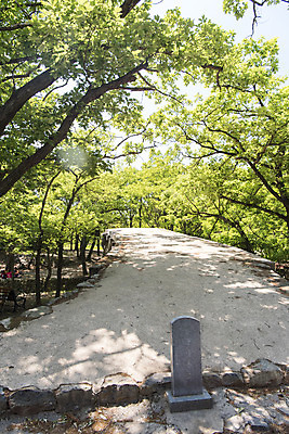 포토 JPG 주간 나무 불교 한국 사람없음 야외 관광지 사찰 흥국사 흥국사홍교 국내포토 자연요소 식물 아시아 종교 여행 종교건축 돌다리 여수 파일형식