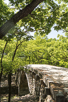 포토 JPG 주간 나무 불교 한국 사람없음 야외 관광지 사찰 흥국사 흥국사홍교 국내포토 자연요소 식물 아시아 종교 여행 종교건축 돌다리 여수 파일형식