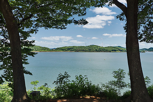 포토 JPG 주간 나무 여행 하늘 풍경 사람없음 야외 관광지 봄 강화도 국내여행 명승지 국내포토 자연요소 식물 계절 인천 파일형식