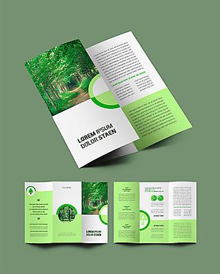 나무 템플릿 ZIP 리플렛 자연 통계 그래프 팜플렛 사람없음 초록색 숲 힐링 울창 인디자인 INDD 이미지템플릿 식물 컬러 생태계 파일형식