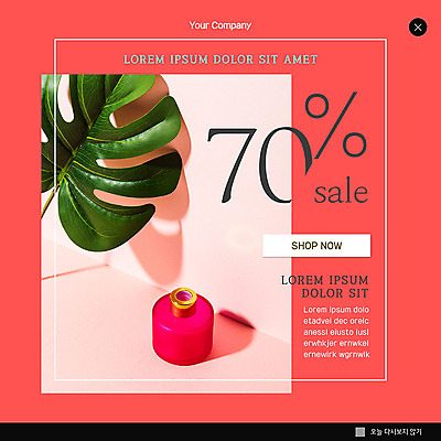PSD 템플릿 ZIP 분홍색 웹템플릿 팝업 이벤트팝업 웹팝업 이벤트 사람없음 세일 향기 리빙 디퓨저 몬스테라 빅팝업 이미지템플릿 식물 컬러 냄새 파일형식