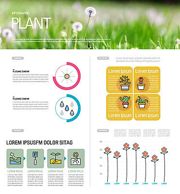 나무 식물 꽃 화분 일러스트 자연 그래프 초원 사람없음 초록색 새싹 인포그래픽 민들레 국내일러스트 AI파일 컬러 생태계 파일형식 벡터