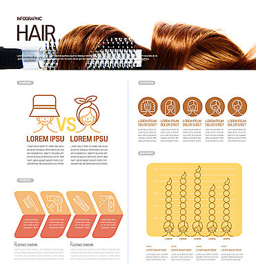 모자 헤어스타일 일러스트 그래프 사람없음 갈색 머리카락 인포그래픽 파마 고데기 국내일러스트 AI파일 잡화 컬러 머리 헤어용품 파일형식 벡터