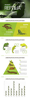 일러스트 파충류 그래프 사람없음 초록색 인포그래픽 거북이 도마뱀 악어 이구아나 목도리도마뱀 카멜레온 국내일러스트 AI파일 동물 컬러 파일형식 벡터